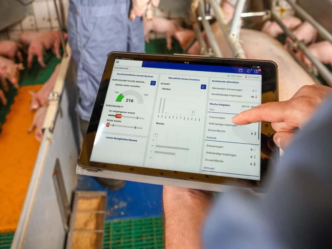 Sauenhalter-bauen-Impfkonzepte-aus