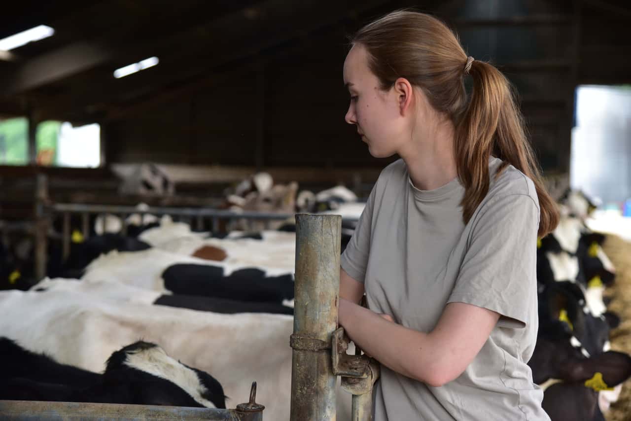 Stress-Burnout-Depression-Diese-Themen-haben-2025-polarisiert