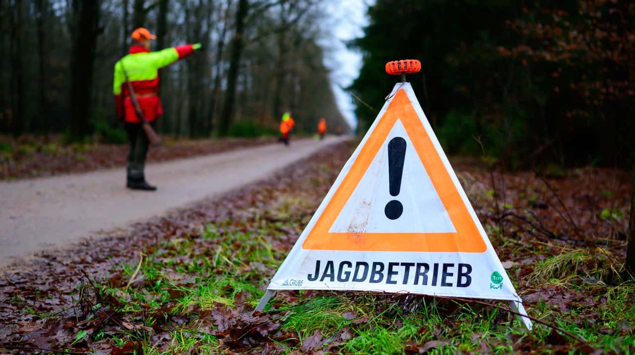 Jagd-Bei-ASP-ist-vieles-anders