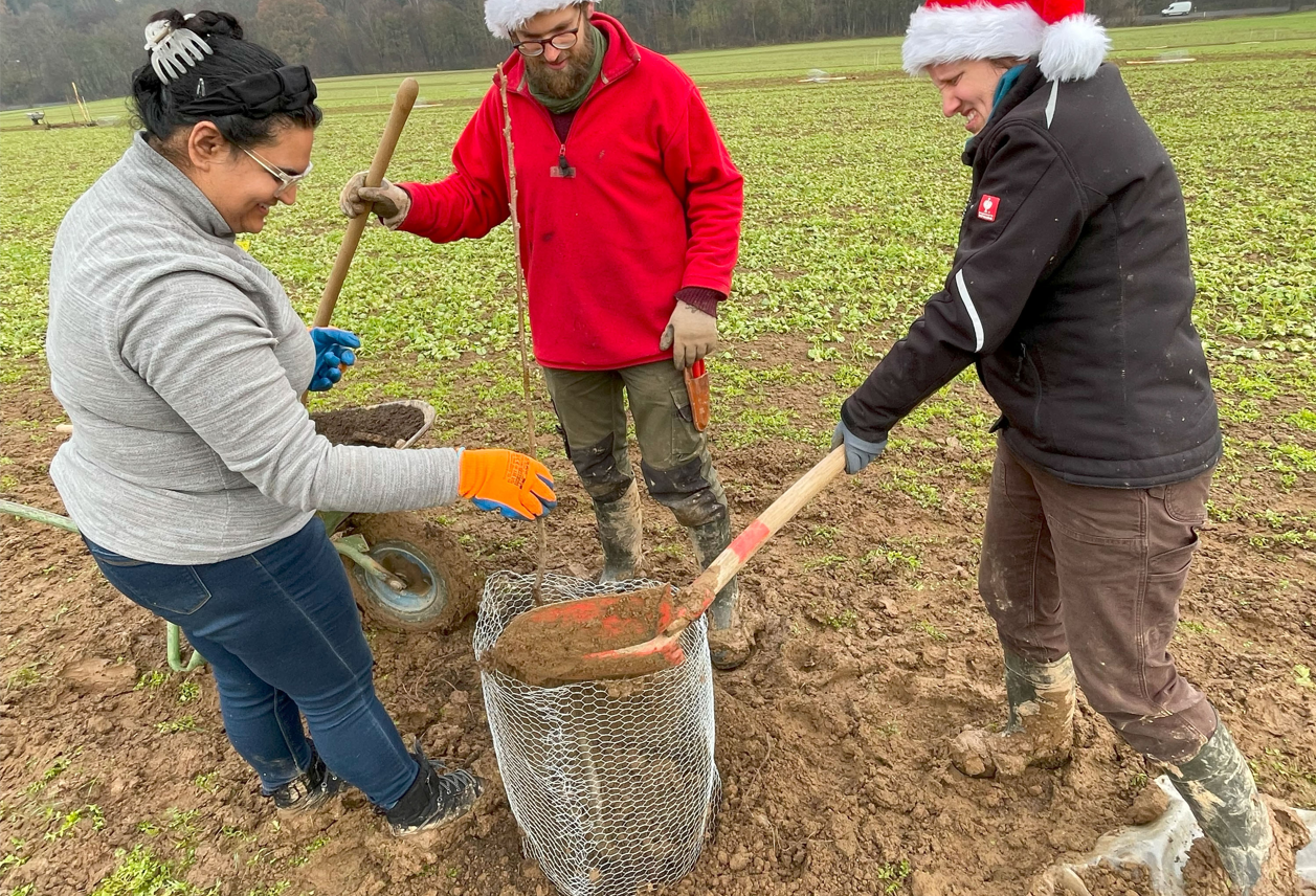 Uni-Hohenheim-er-ffnet-neue-Agroforst-Versuchsfl-che-f-r-Lehre-und-Forschung