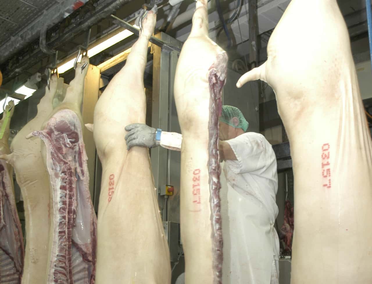 Befunde-kosten-Leistung