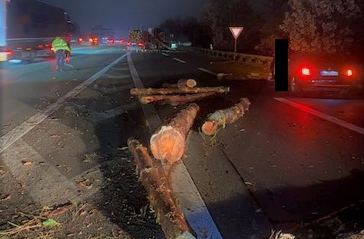 Holztransporter-verliert-Baumst-mme-auf-A1