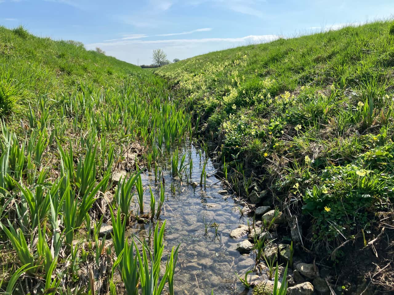 Nitrat-und-Rote-Gebiete-Warum-die-D-ngeverordnung-das-Problem-nicht-l-st
