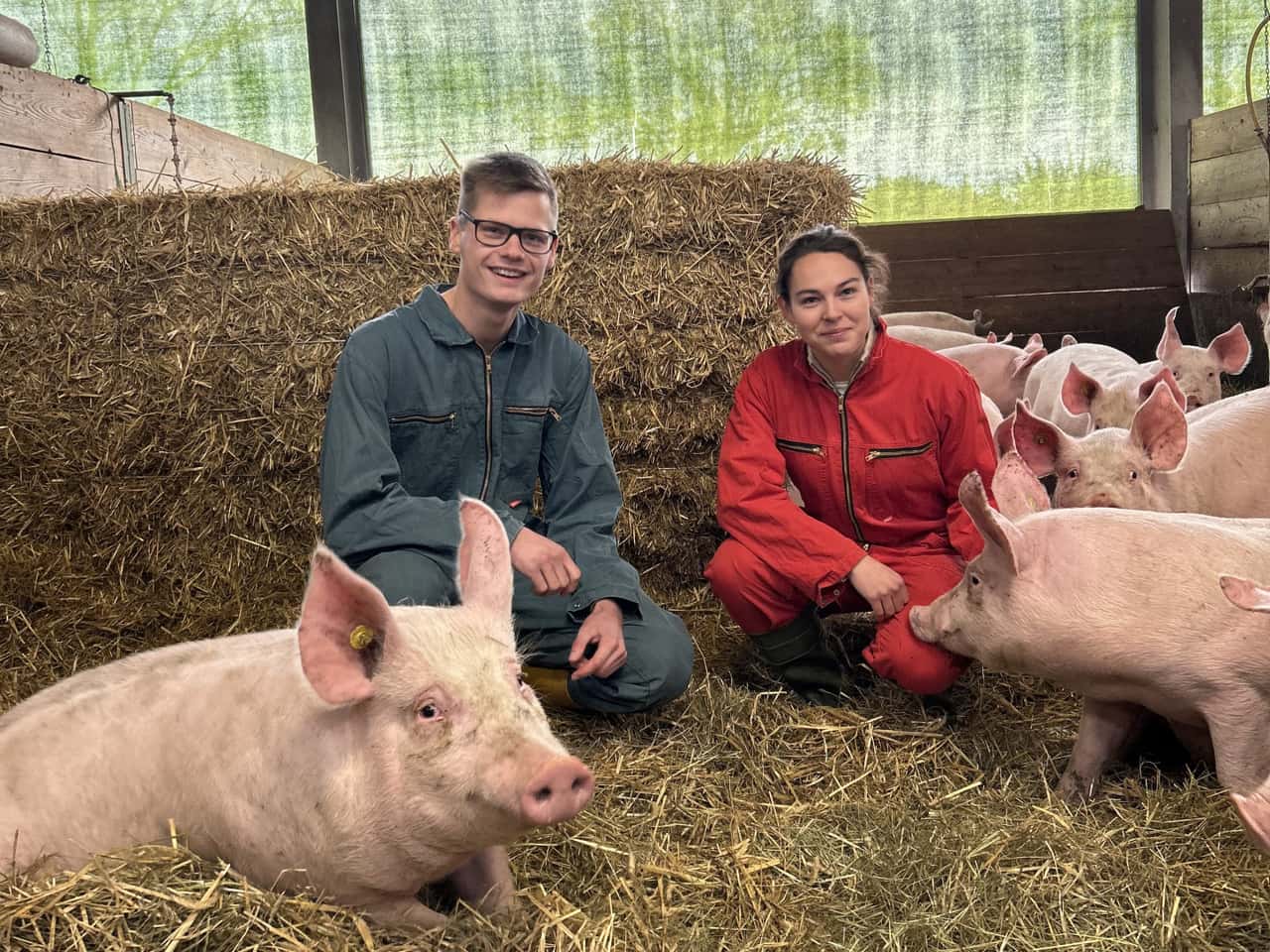 Guter-Austausch-zwischen-Ferkelerzeuger-und-M-ster-steigert-Leistung