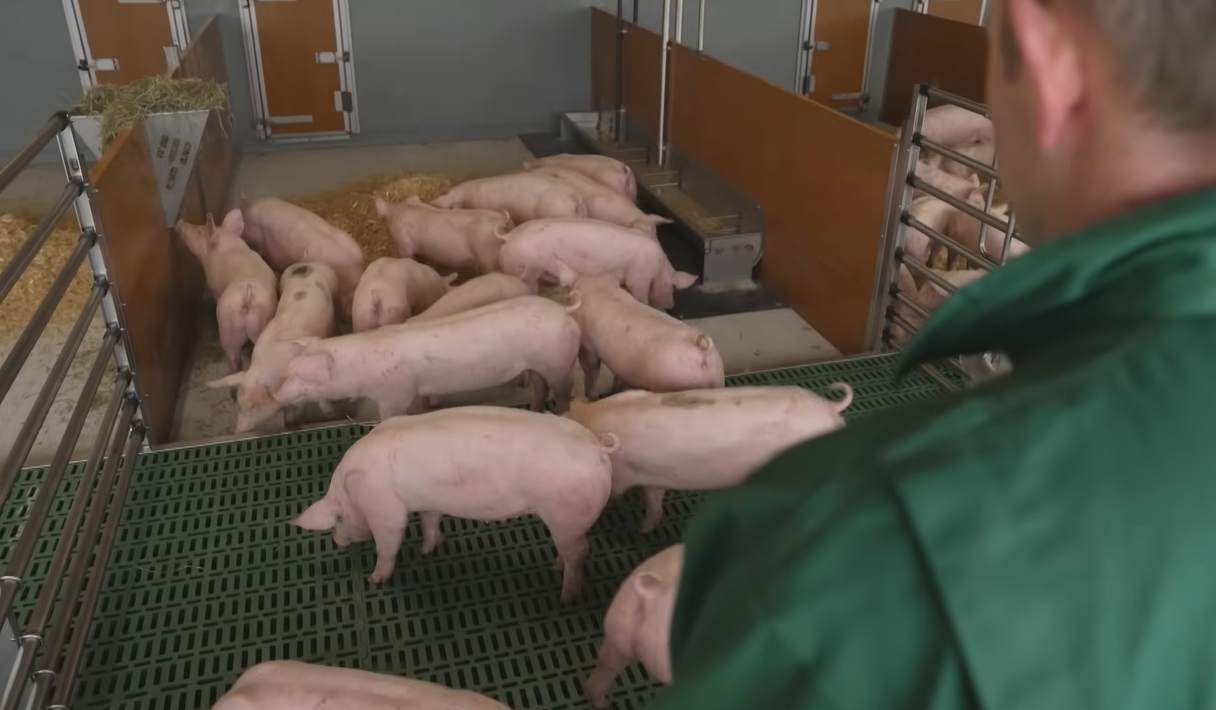 Von-HF-1-zu-HF-4-ab-in-den-Offenstall