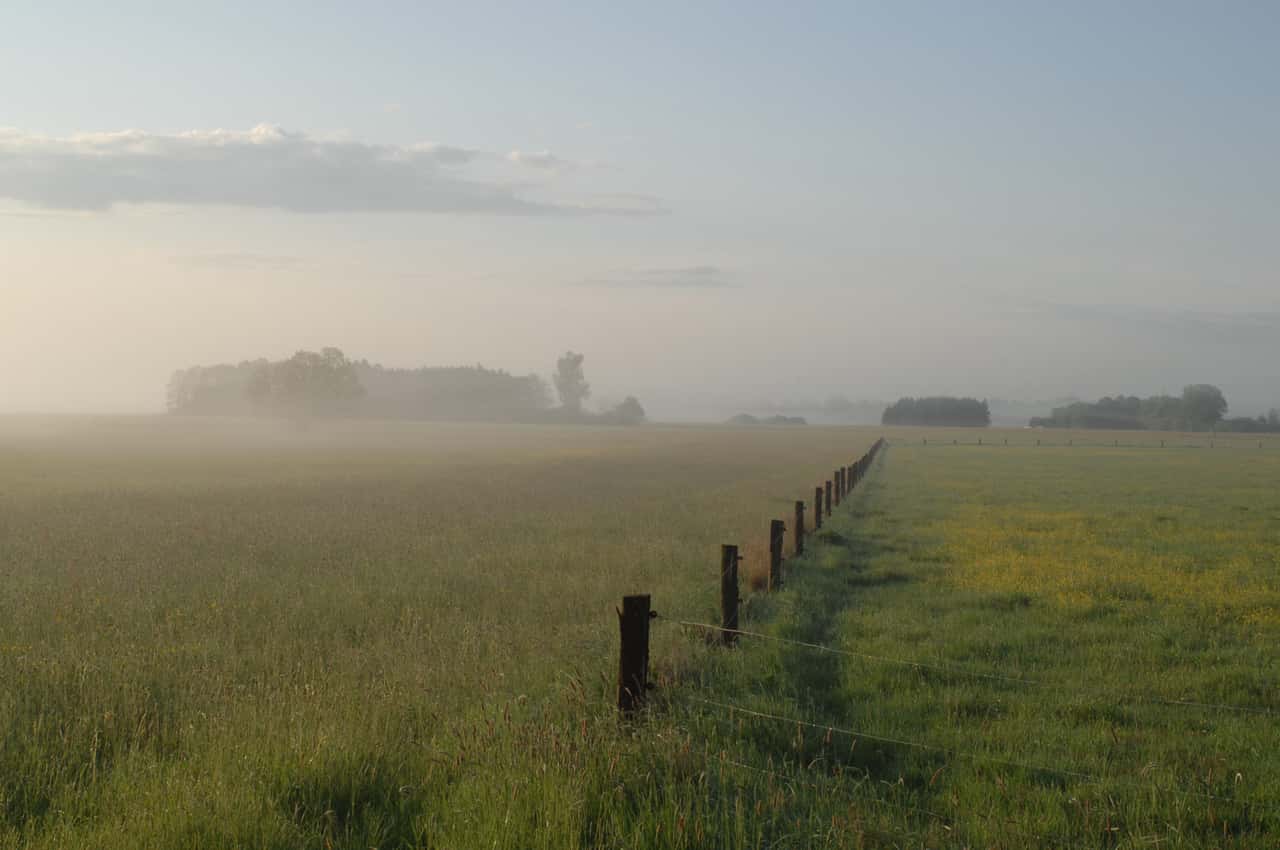 Trockengelegte-Moore-haben-mehr-CO2-freigesetzt-als-bislang-gedacht