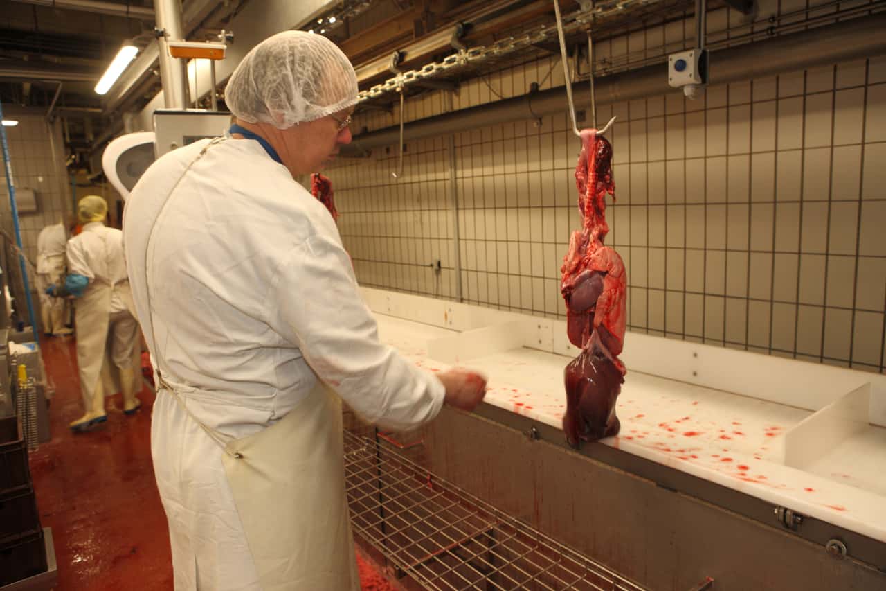 Lungenbefunde-mittels-KI-automatisch-erkennen