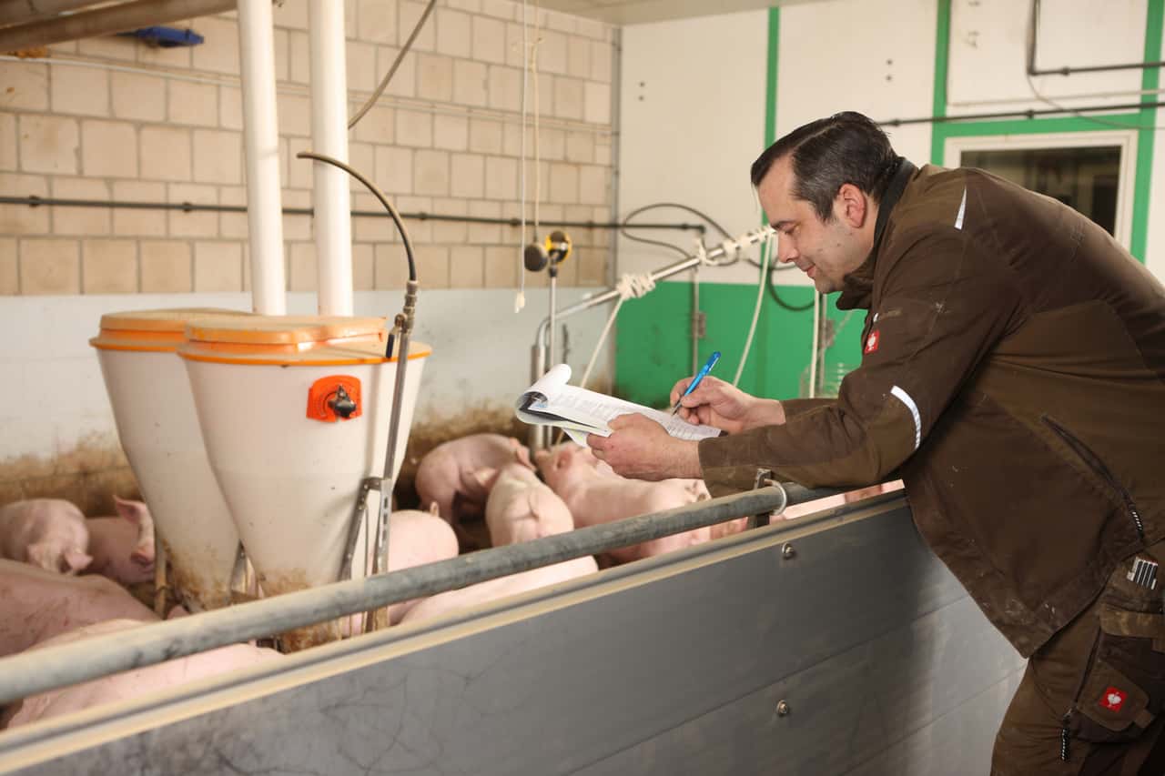 Rentenbank-gew-hrt-Zinsvorteile-f-r-Nutzung-von-QS-Klimaplattform