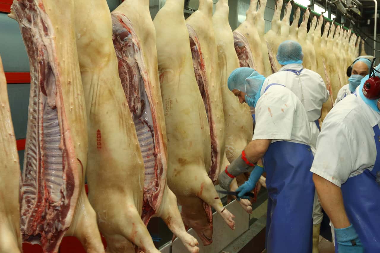 BRS-Selbstversorgungsgrad-von-135-suggeriert-falsche-Versorgungssicherheit