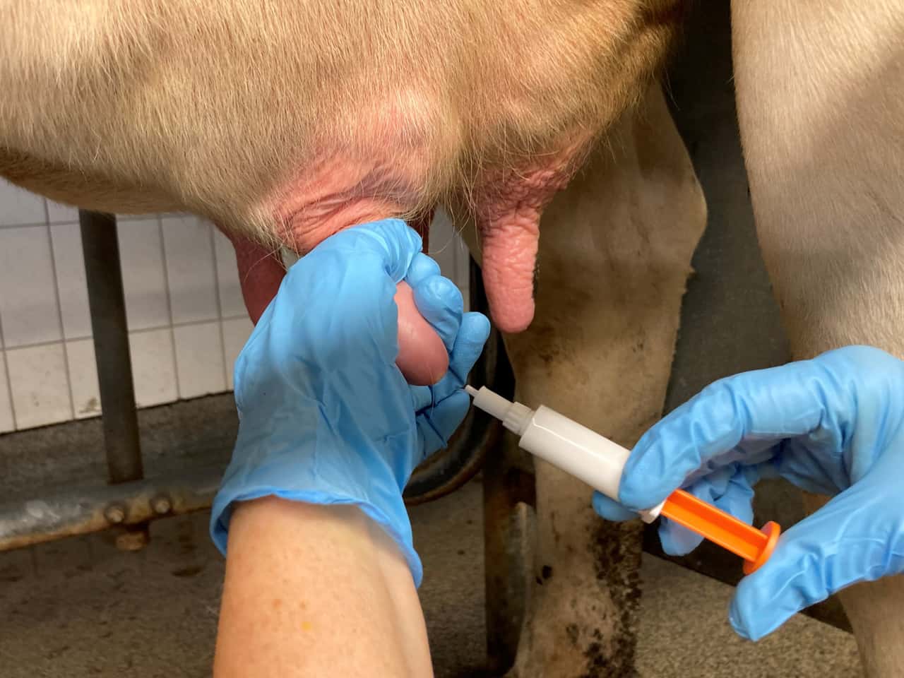 Trockenstellen-F-r-jedes-Viertel-einzeln-entscheiden