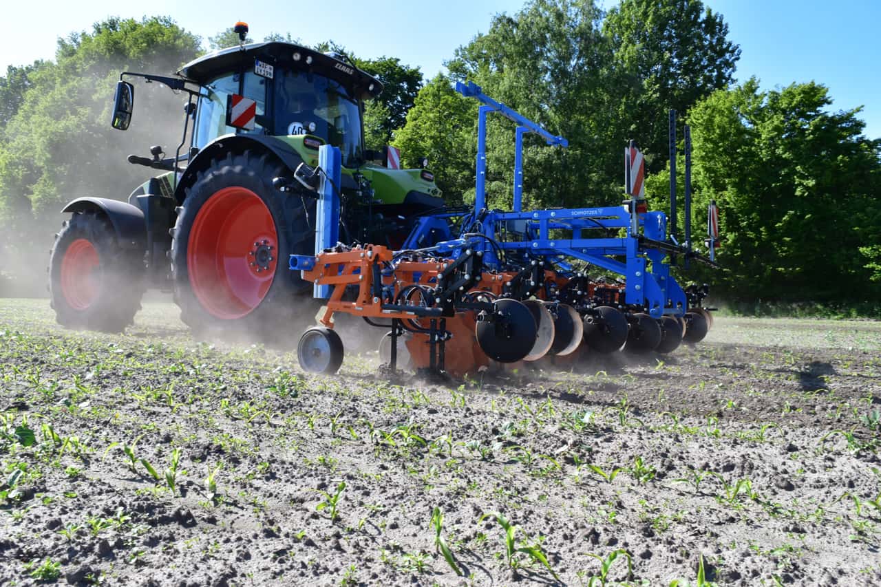 Wieder-mehr-Bio-Mais-in-2026