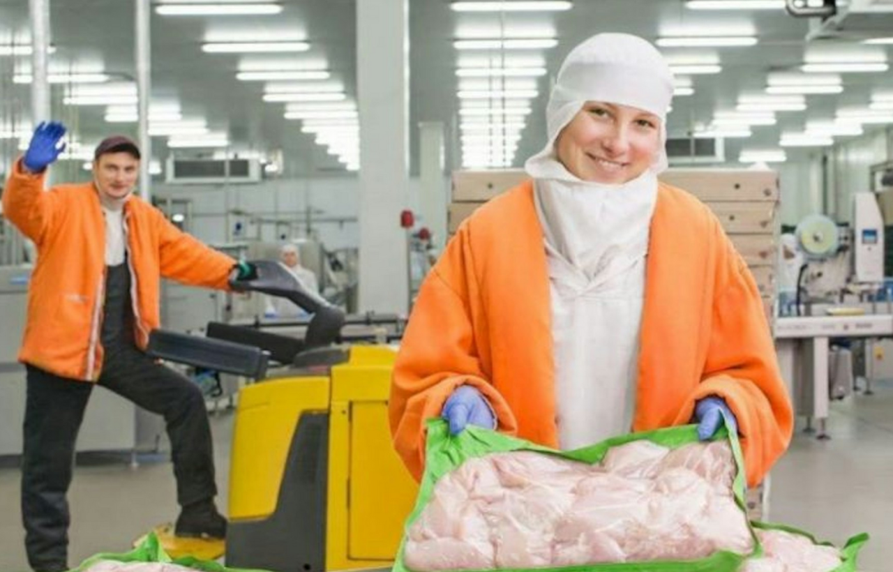 Ukraine-MHP-meldet-starkes-Umsatz-und-Gewinnwachstum