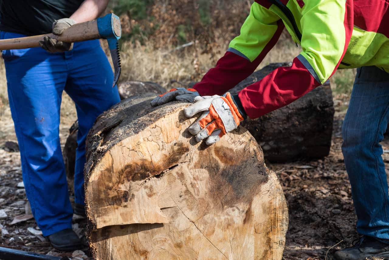 Sappiehalter-am-Spalter-erleichtert-Aufstellen-von-Kaminholz-im-Spalter