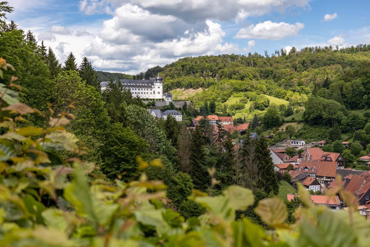 Natursch-tzer-wollen-Wald-im-S-dharz-kaufen
