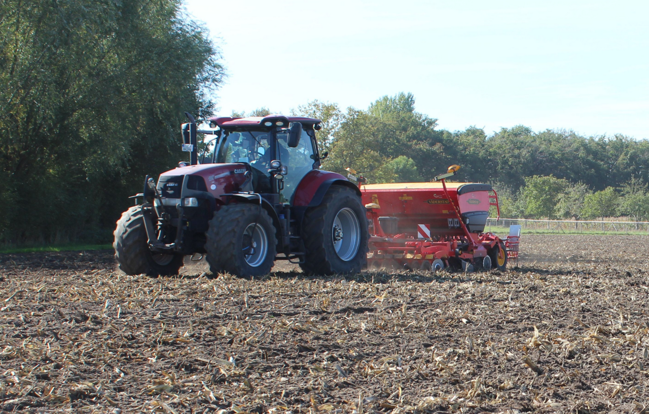 Herbstaussaat-Anbau-von-Wintergetreide-nahezu-unver-ndert