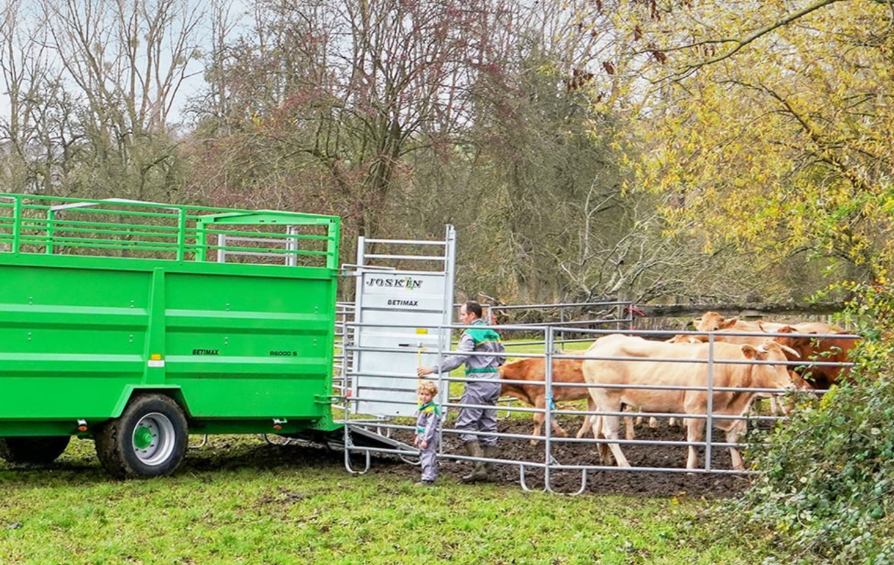 Selbstgebauter-Keil-f-r-Ausgleich-von-Rinder-Transportrampe