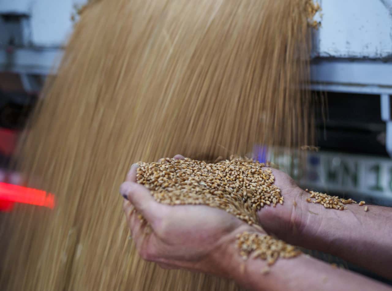 Stabile-Weizenpreise-vor-Weihnachtspause