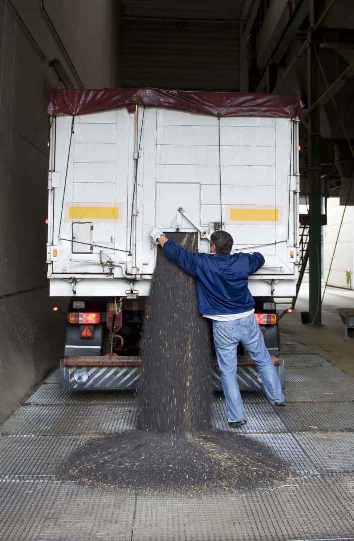 Raps-l-st-sich-von-Jahrestief