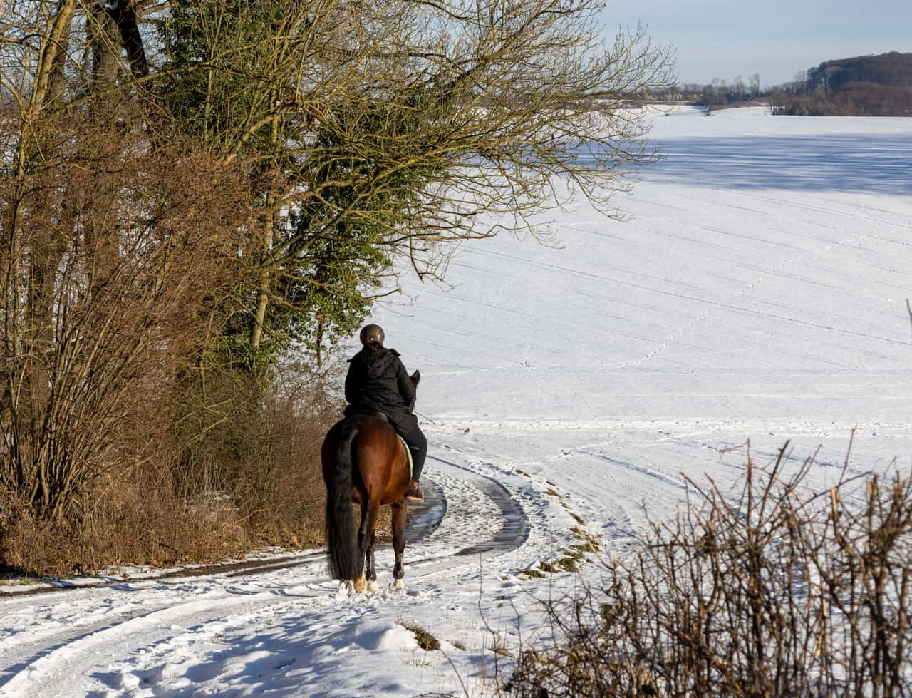NRW-Denken-Sie-an-die-neue-Reitplakette