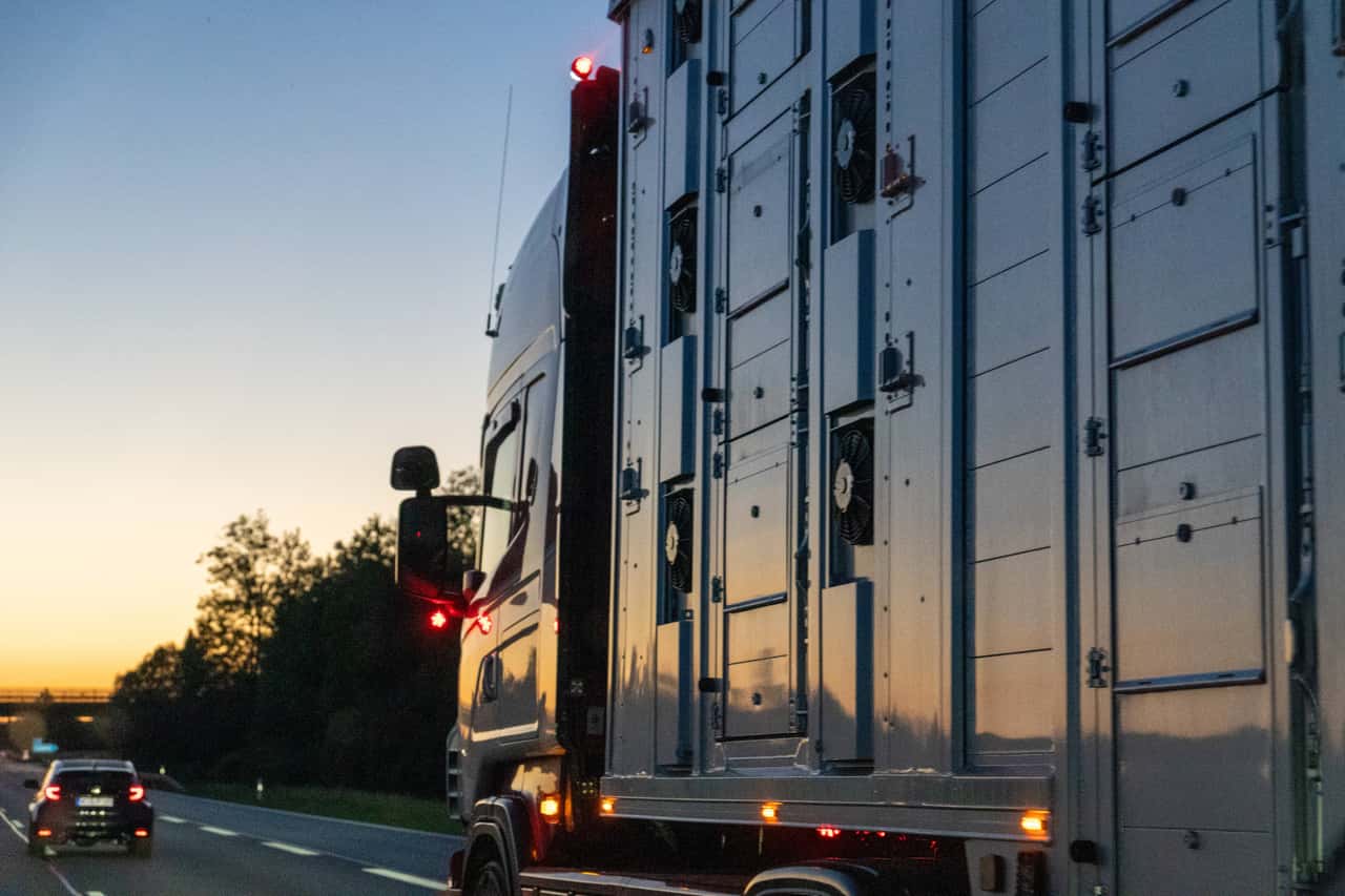 Grafiken-zeigen-So-stark-sinkt-die-deutsche-Eigenversorgung-mit-Fleisch
