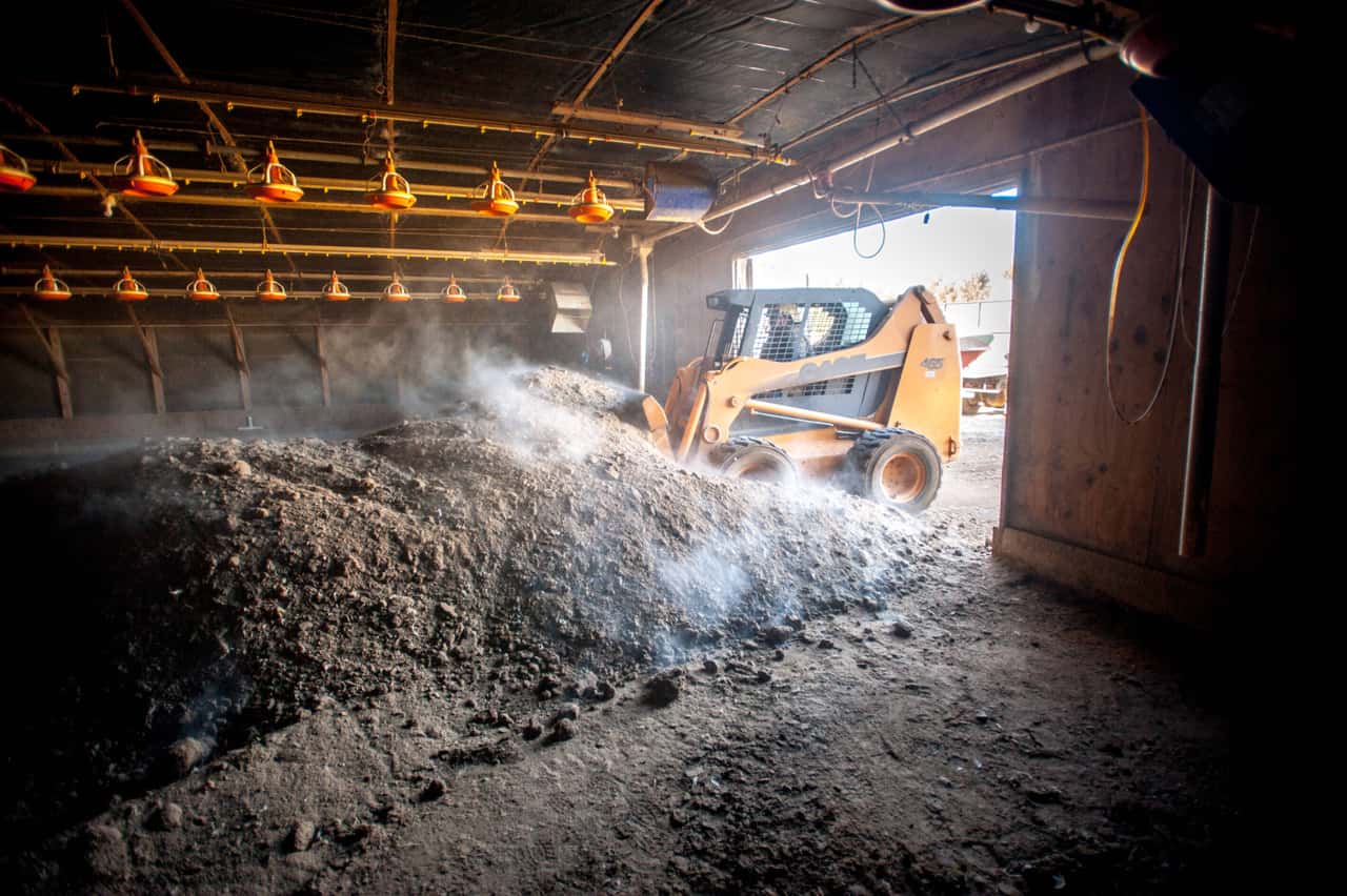 US-Gefl-gelunternehmen-m-ssen-f-r-Umweltverschmutzung-in-Oklahoma-aufkommen