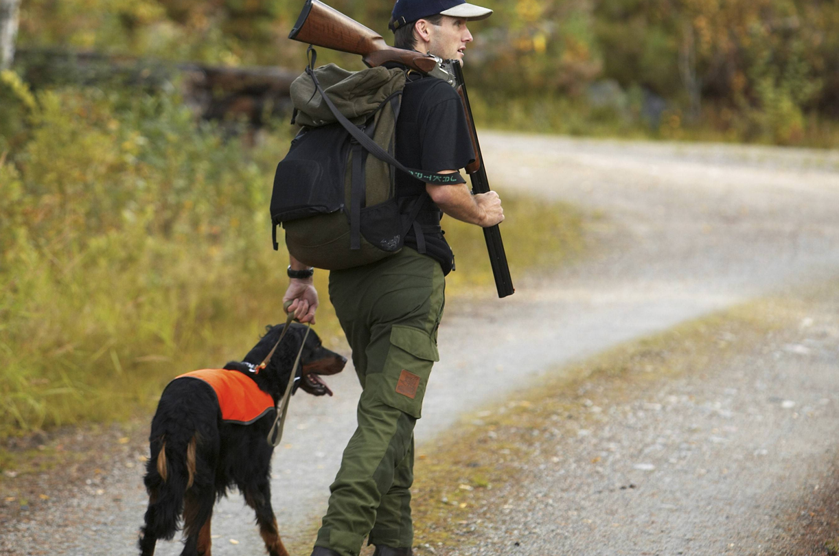 Aujeszkysche-Krankheit-bei-Wildschweinen-Passen-Sie-auf-Ihren-Jagdhund-auf-