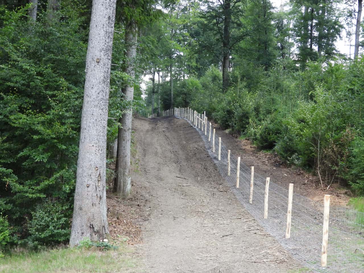 ASP-in-NRW-Zweiter-Fall-au-erhalb-des-Schutzzauns