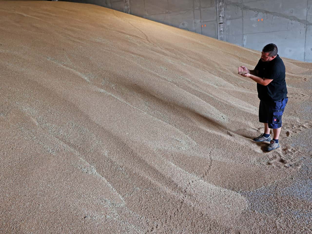 Weizenpreise-ziehen-leicht-an