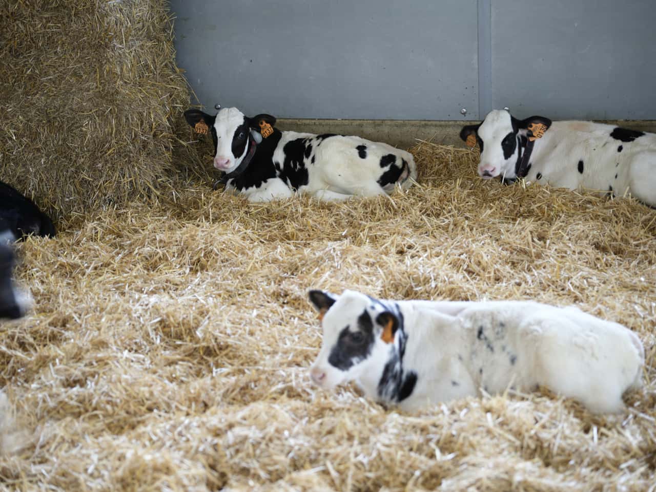 ARD-Dokumentation-geht-erneut-auf-konventionelle-Landwirtschaft-los