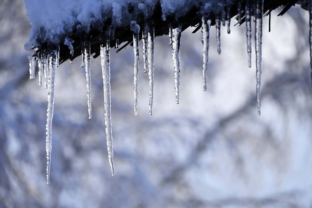Stalldach-in-Hilversum-st-rzt-ein-und-begr-bt-23-Tiere