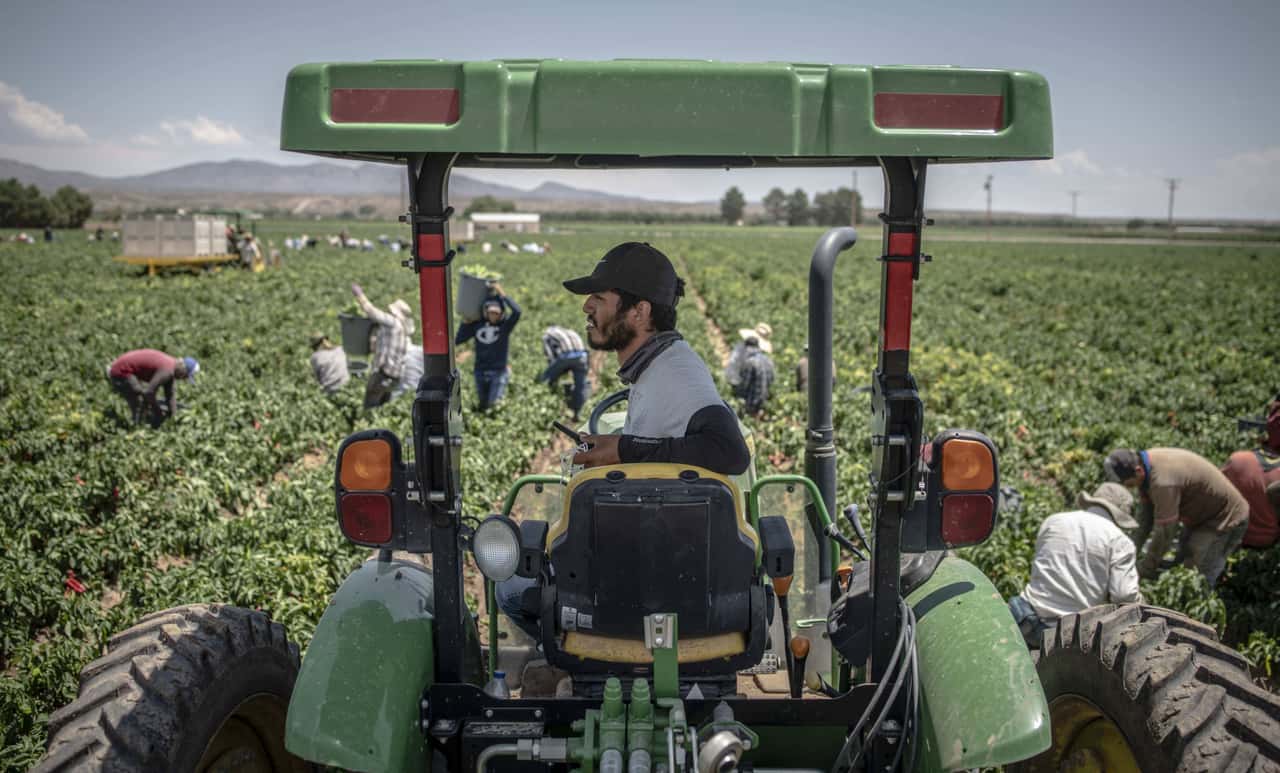 US-Farmer-in-gro-er-Sorge-Abschiebungen-werden-sprunghaft-ansteigen