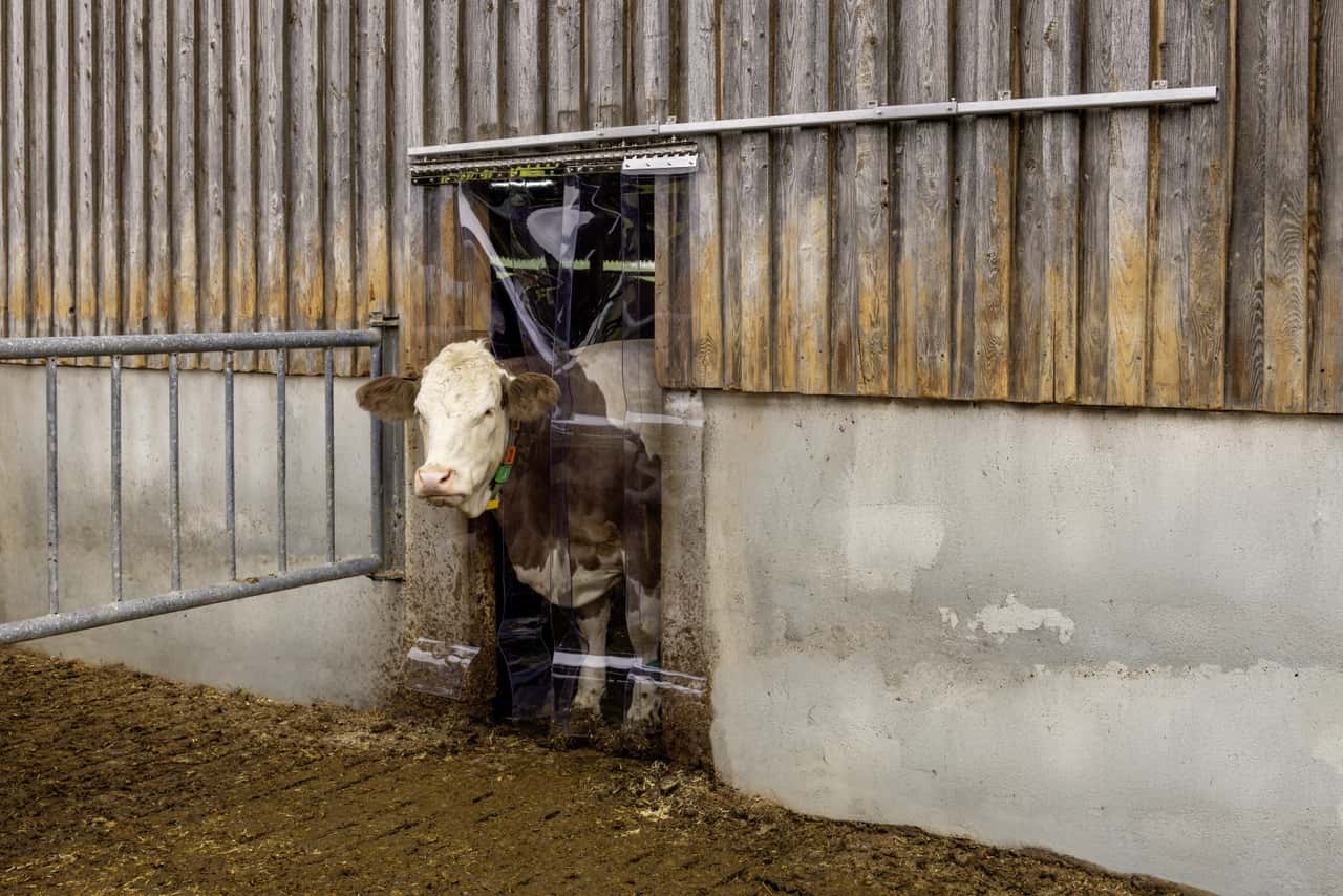 Den-Streifenvorhang-flexibler-zur-Seite-schieben