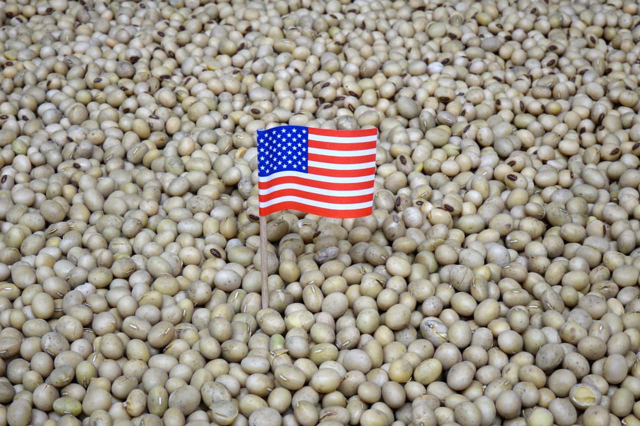 B-rsenkurse-f-r-Sojabohnen-und-Raps-Exporte-nach-China-hellen-Stimmung-auf