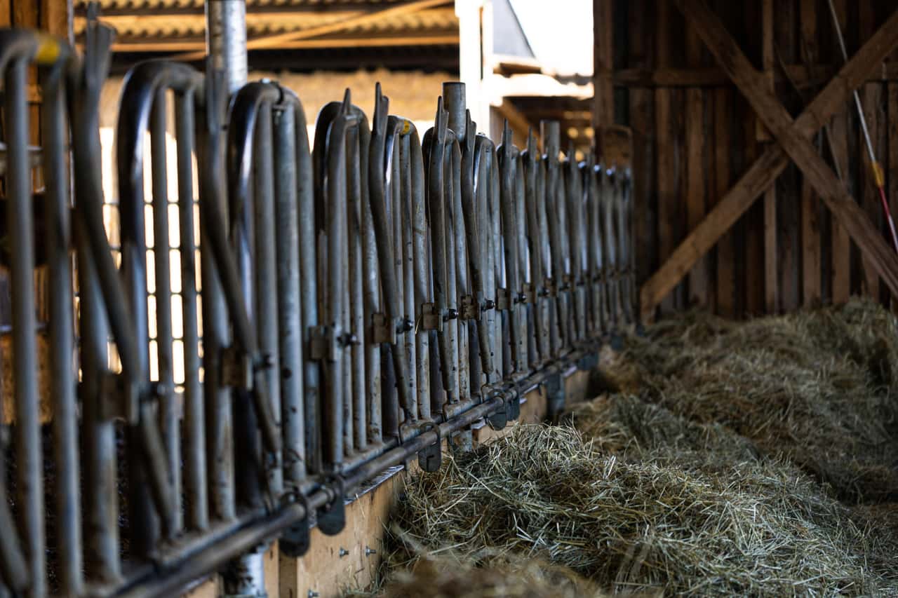 Vorarlberg-Dramatische-TBC-Situation