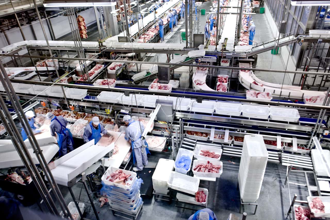 Danish-Crown-baut-Schweinezerlegung-in-D-nemark-aus