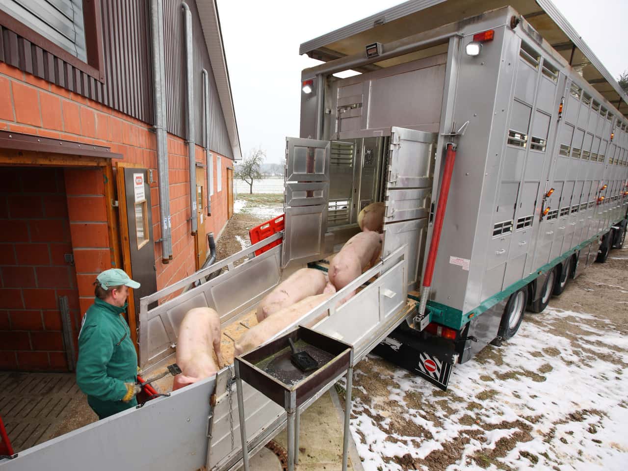 Mieser-Start-f-r-Schweinehalter-Was-bringt-2026-