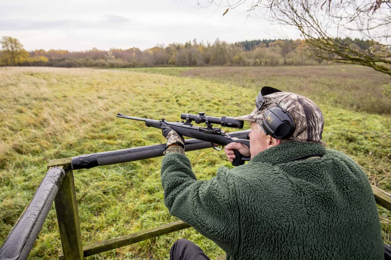 Bissige-Diskussion-im-Bundestag-zum-Thema-Wolf