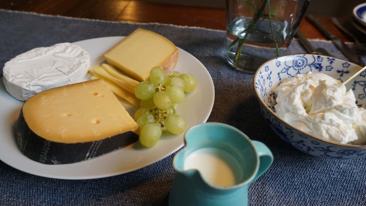 LEH-Mehr-Absatz-und-Umsatz-mit-Milchprodukten