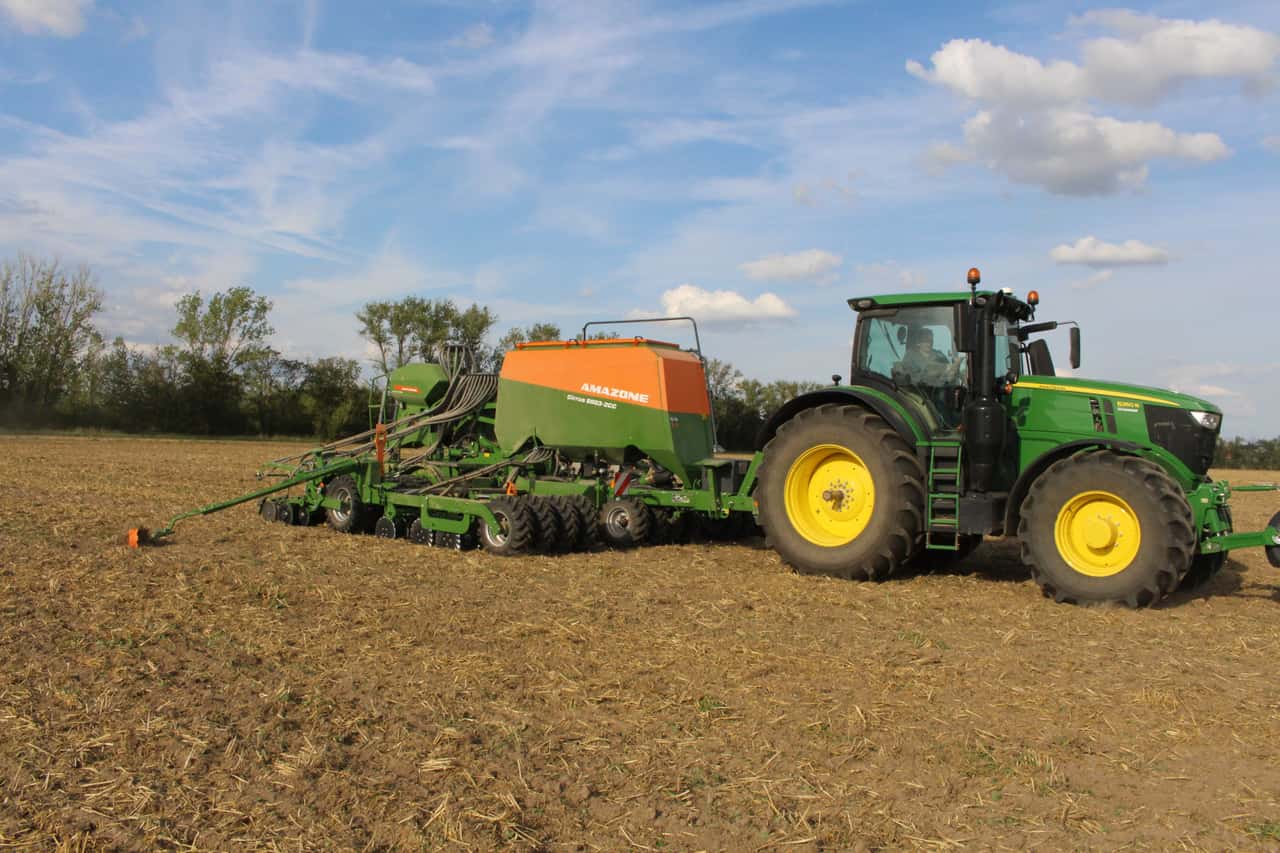 Etwas-mehr-Wintergetreide-und-Raps-ausges-t