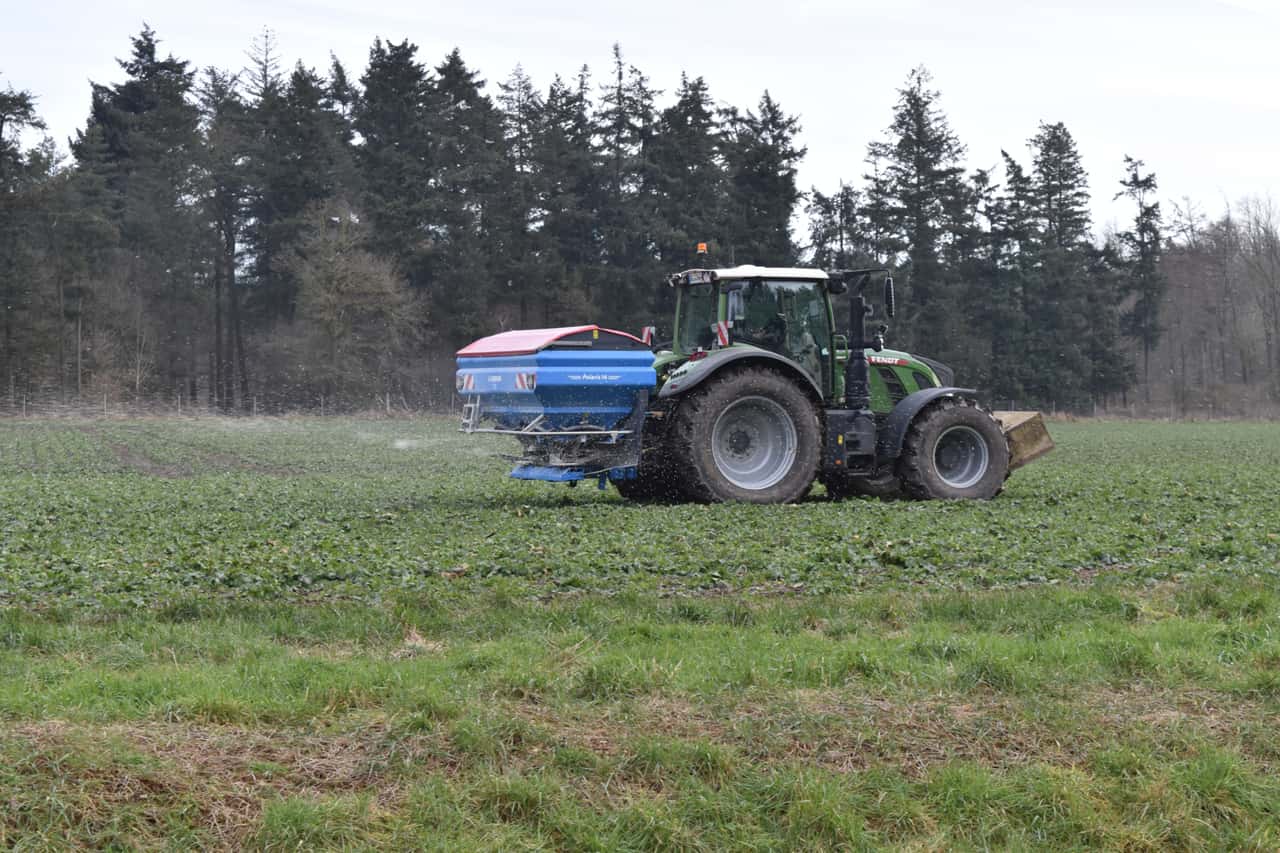 D-ngeverordnung-L-nder-erh-hen-den-Druck-auf-den-Bund