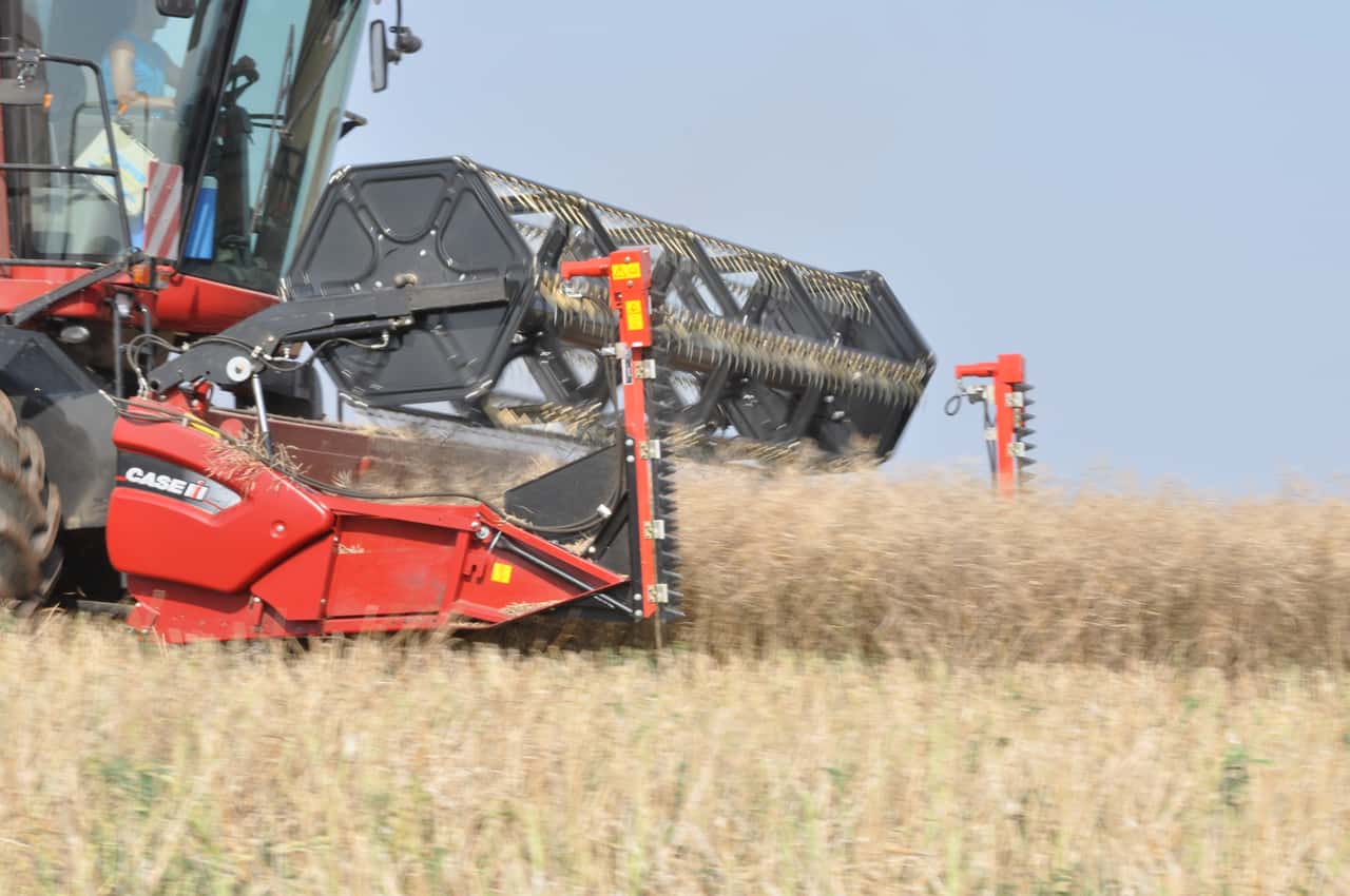 Sch-tzung-zur-globalen-Rapsproduktion-erh-ht