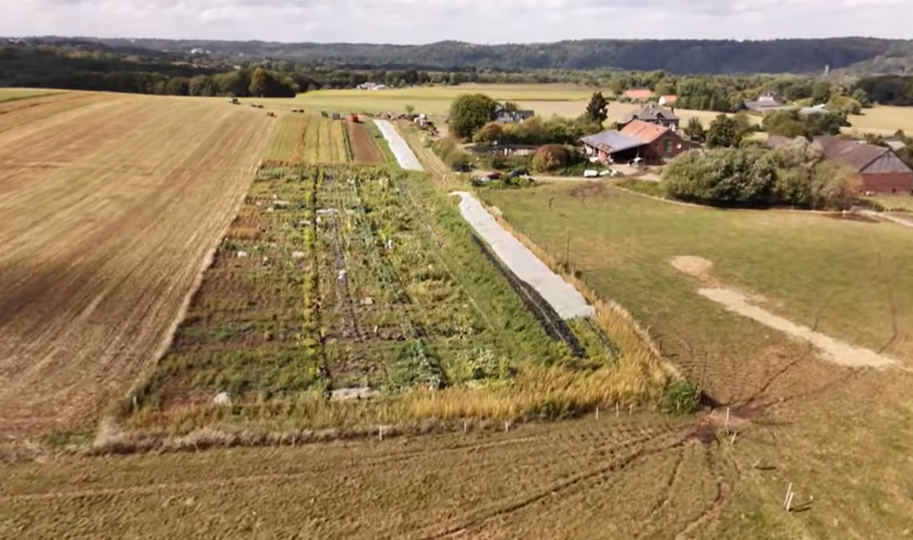 Essener-Biolandwirt-verpachtet-Feldparzellen-an-Selbstversorger