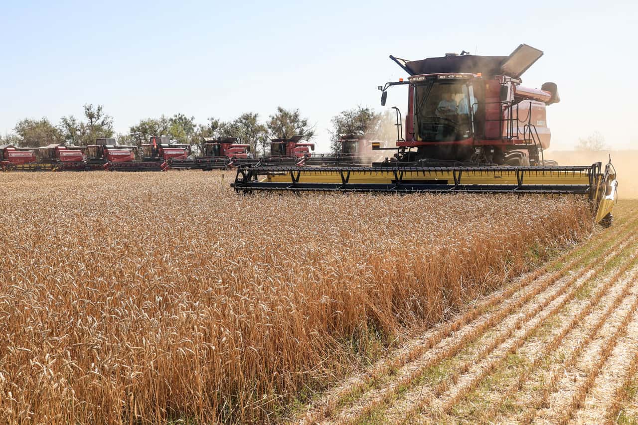 Russsische-Weizenexporte-deutlich-r-ckl-ufig