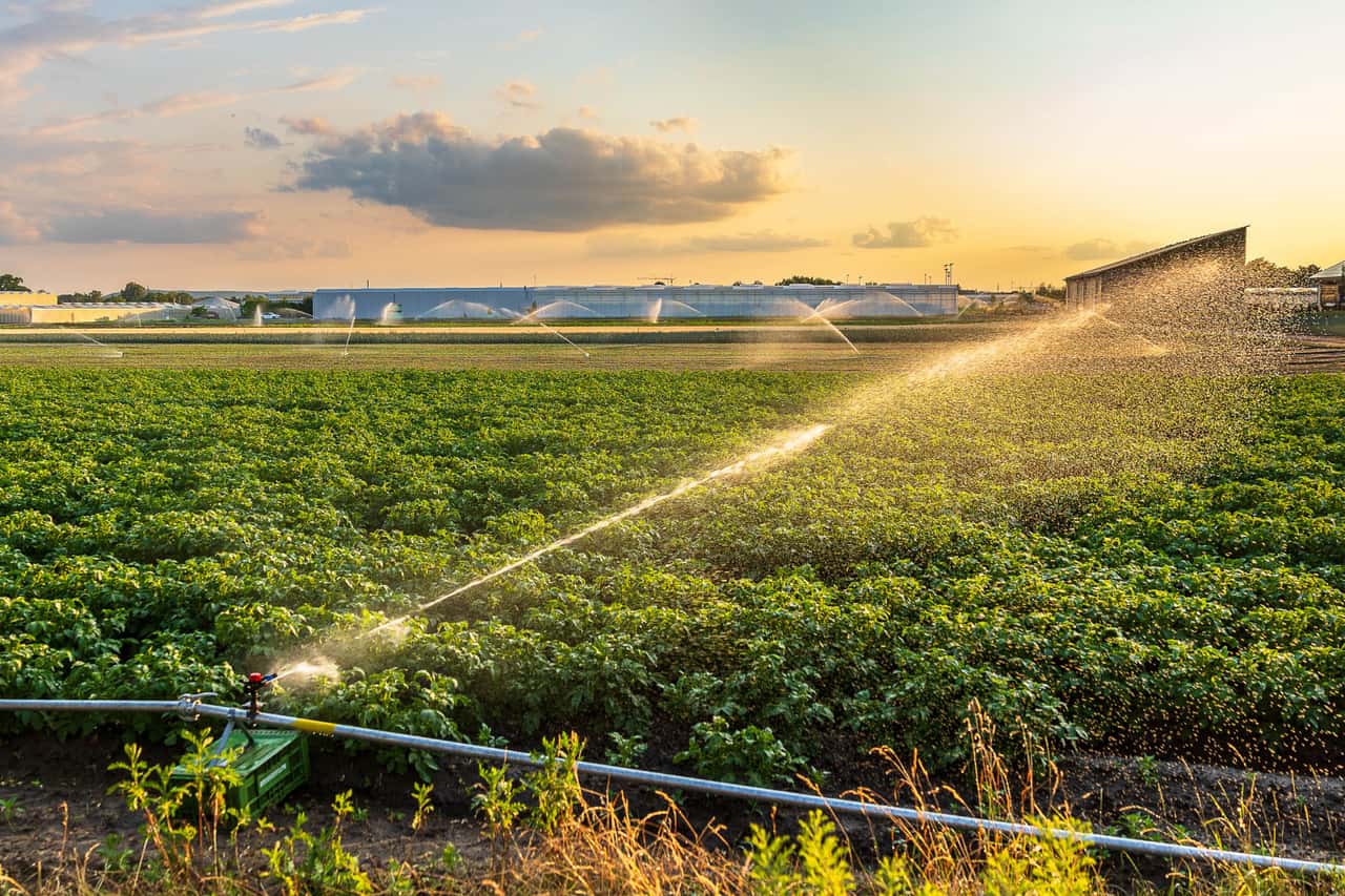 Rewe-Landfrisch-und-zwei-Bauern-starten-Partnerschaft-beim-Gem-seanbau