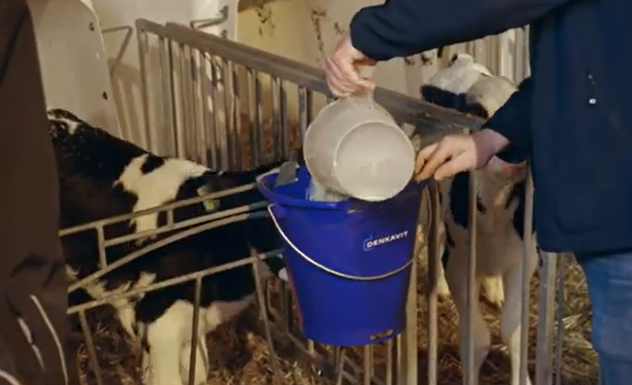 Agravis-und-Denkavit-b-ndeln-Kompetenz-in-der-K-lberaufzucht