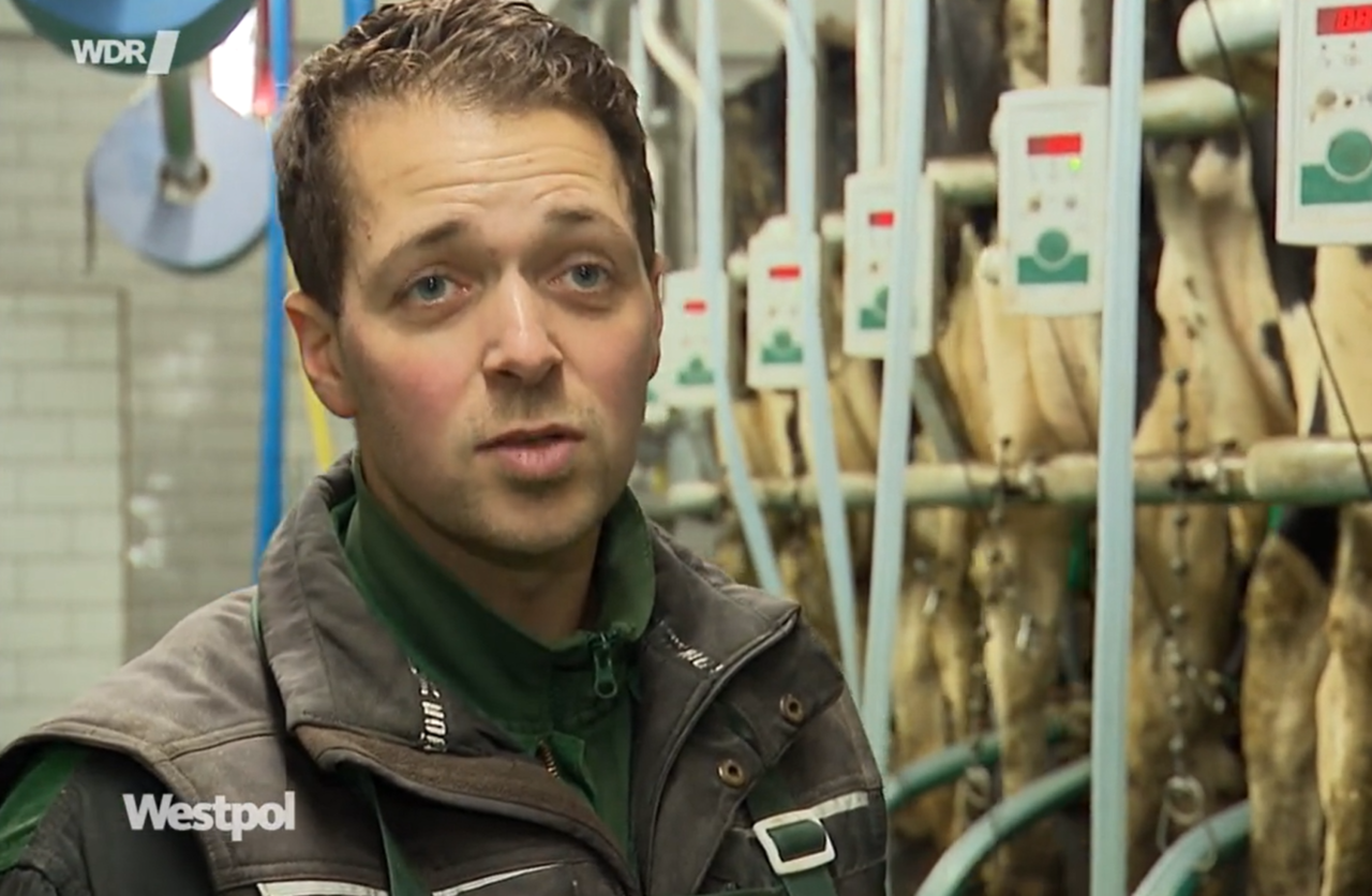 Milchbauern-zwischen-Tierwohl-und-Rentabilit-t-gefangen