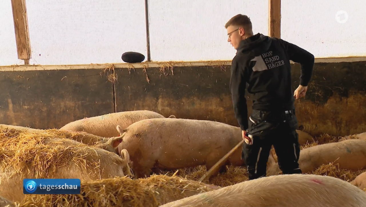 Sauenhalter-will-weiter-modernisieren-kann-es-sich-aber-nicht-leisten