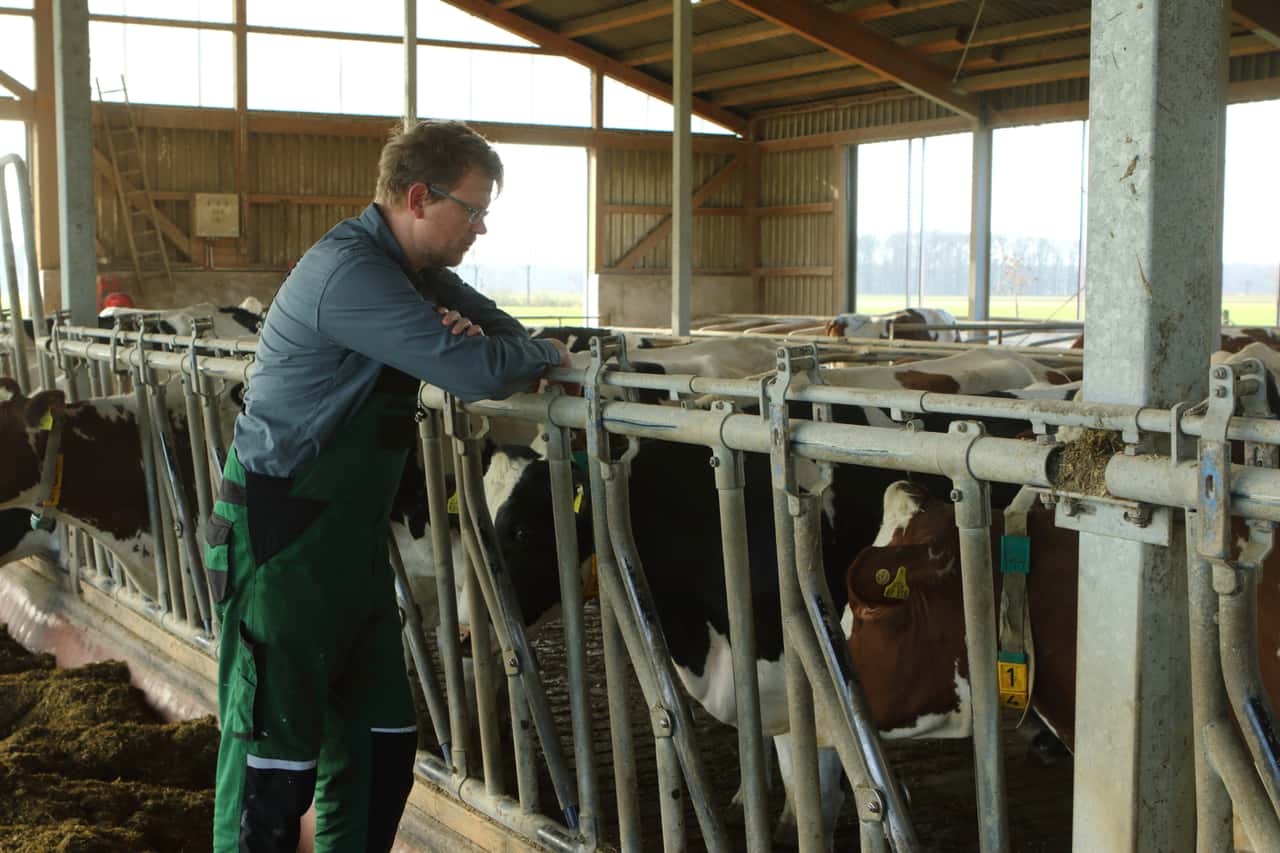 Agrarstudentin-untersucht-psychische-Gesundheit-von-Landwirten-in-Deutschland