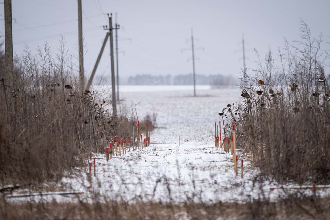 Weizen-Wetter-und-Exporte-im-Fokus
