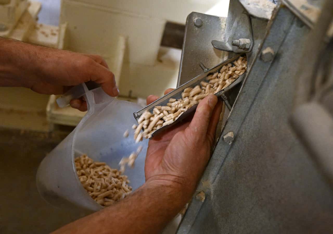 Pelletspreise-steigen-mit-der-Januar-K-lte-nochmal-an